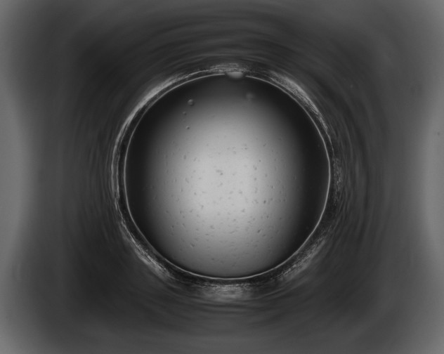 X0000085730843200703231046