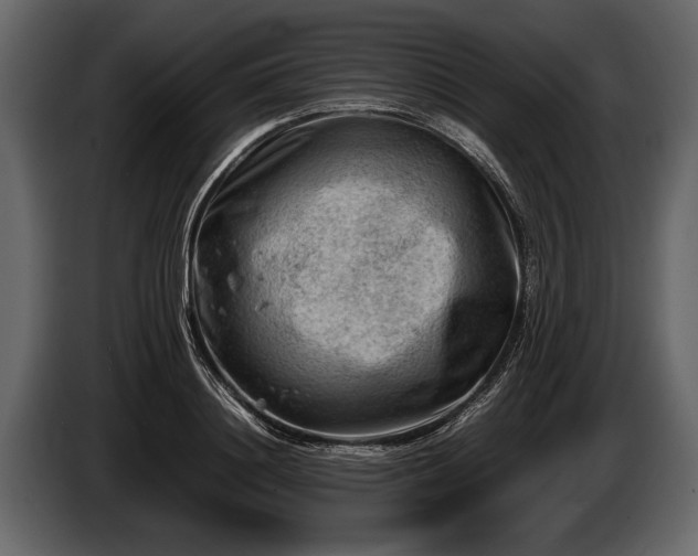 X0000085730844200703231046