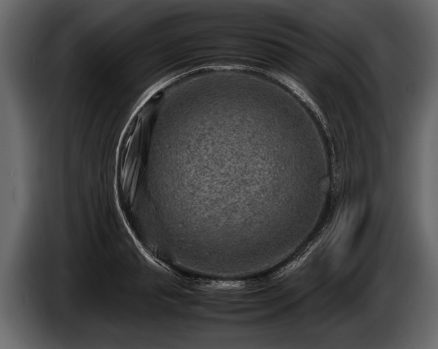 X0000085730845200703231046