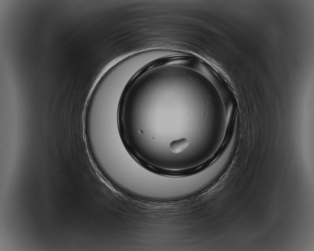 X0000085730846200703231046