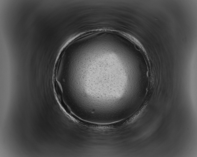 X0000085730847200703231046