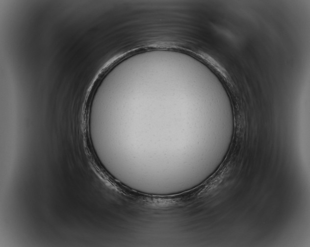 X0000085730848200703231046