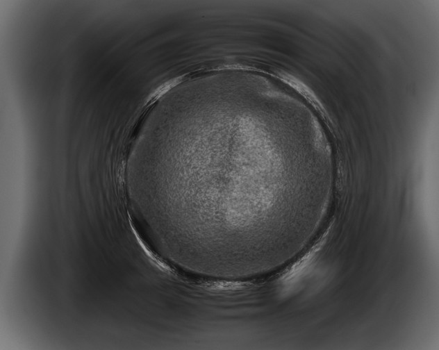 X0000085730849200703231046