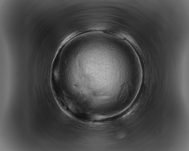 X0000085730850200703231046