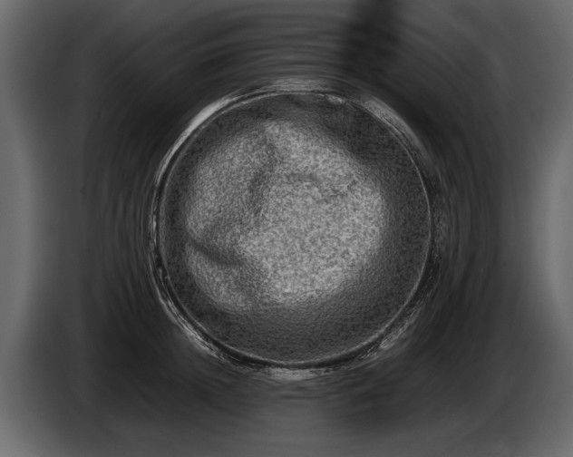 X0000085730852200703231046