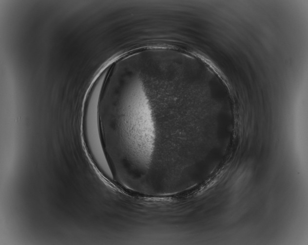 X0000085730853200703231046