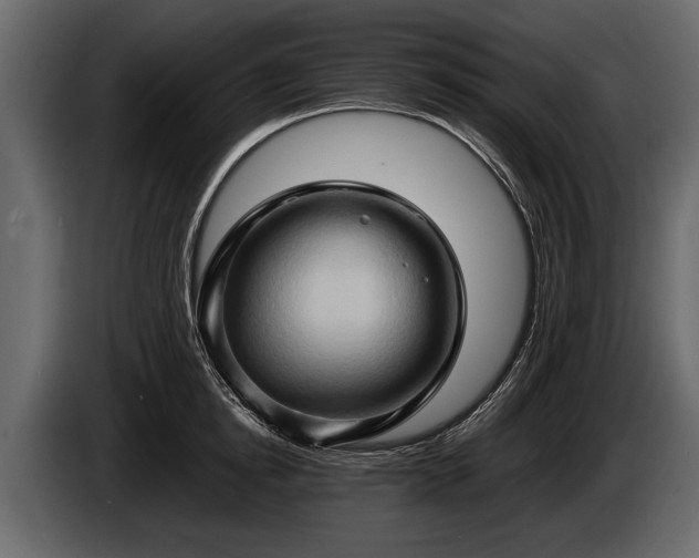 X0000085730854200703231046