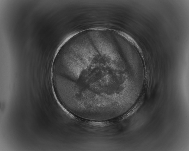 X0000085730855200703231046