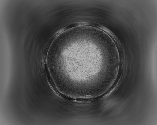 X0000085730857200703231046