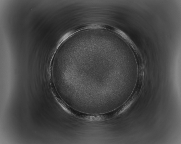 X0000085730858200703231047