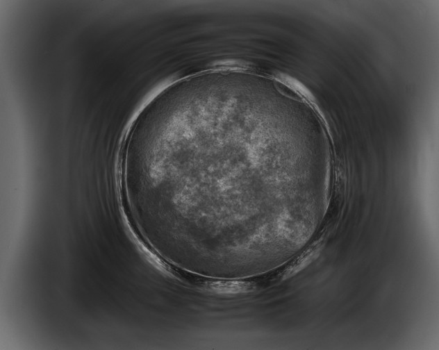 X0000085730859200703231047