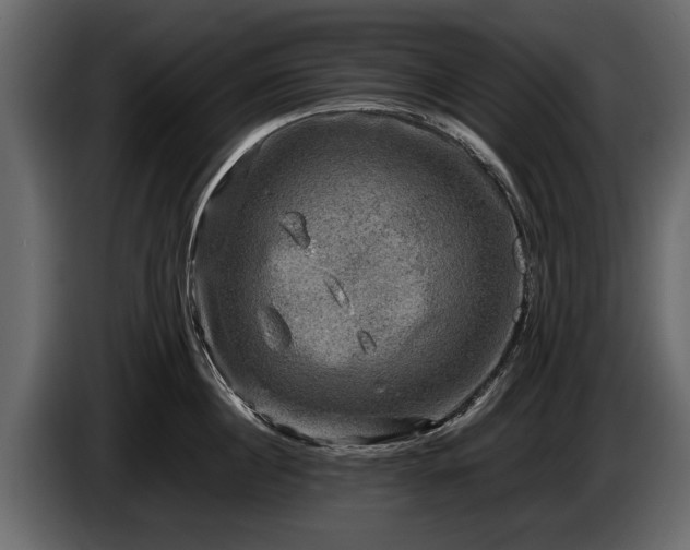 X0000085730860200703231047