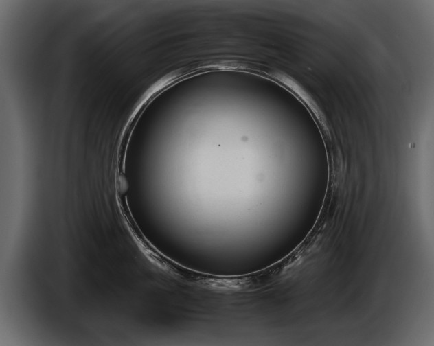 X0000085730861200703231047