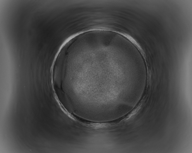 X0000085730862200703231047