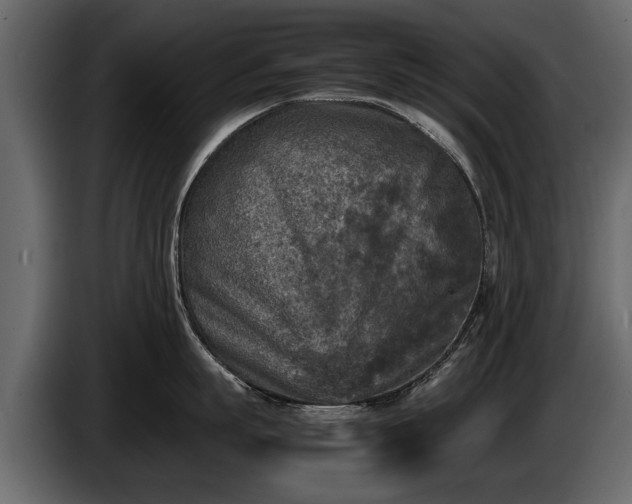 X0000085730863200703231047