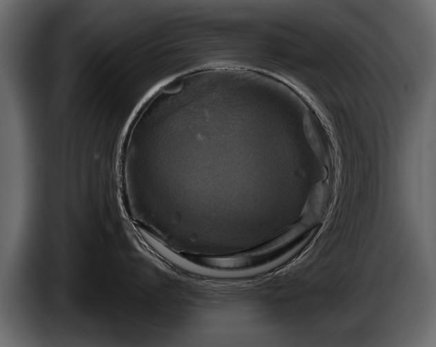 X0000085730864200703231047