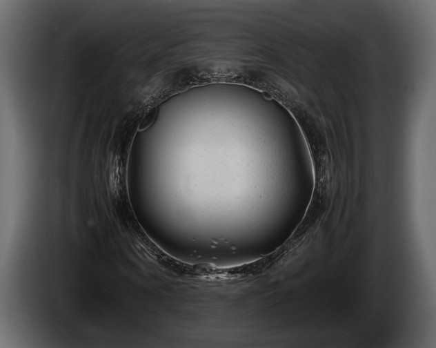 X0000085730866200703231046