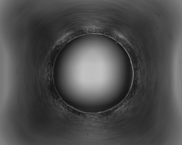 X0000085730870200703231046