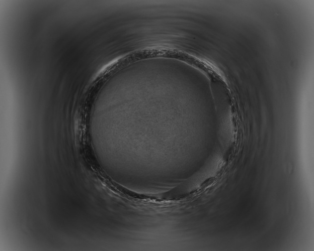 X0000085730872200703231046