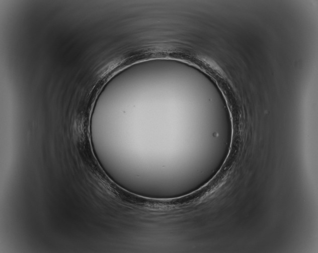 X0000085730873200703231046