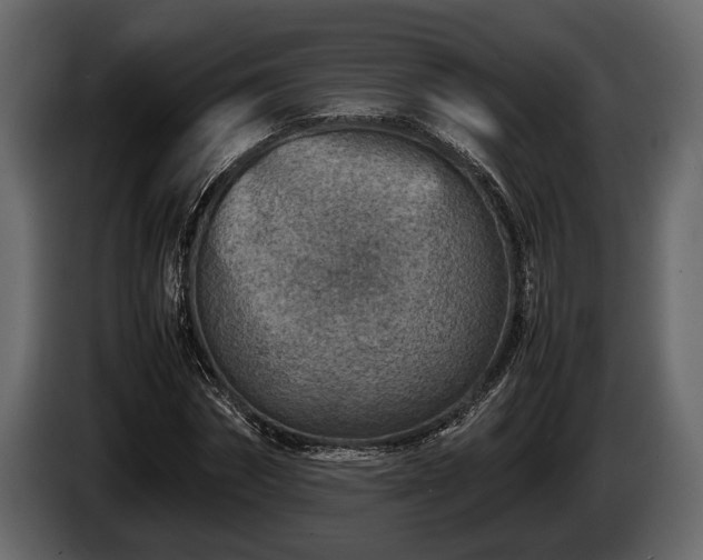 X0000085730874200703231046