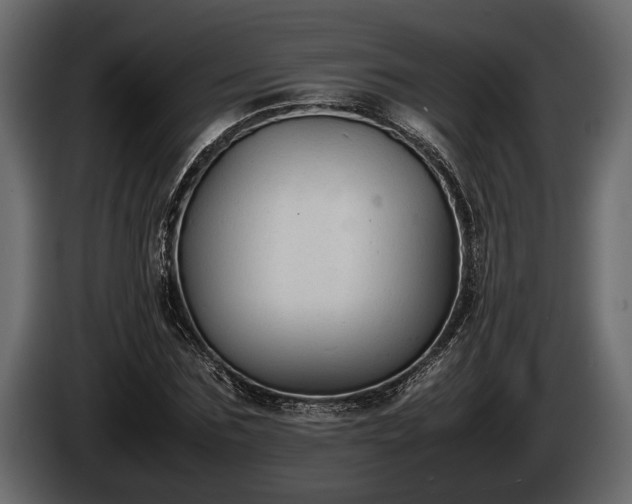 X0000085730875200703231046