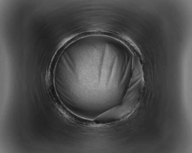 X0000085730876200703231046