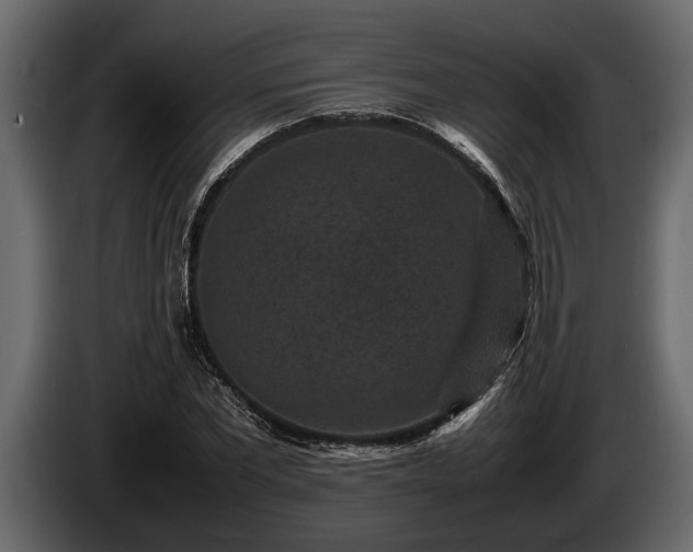 X0000085730877200703231046