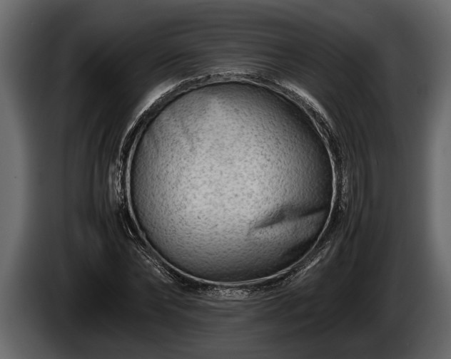 X0000085730878200703231046