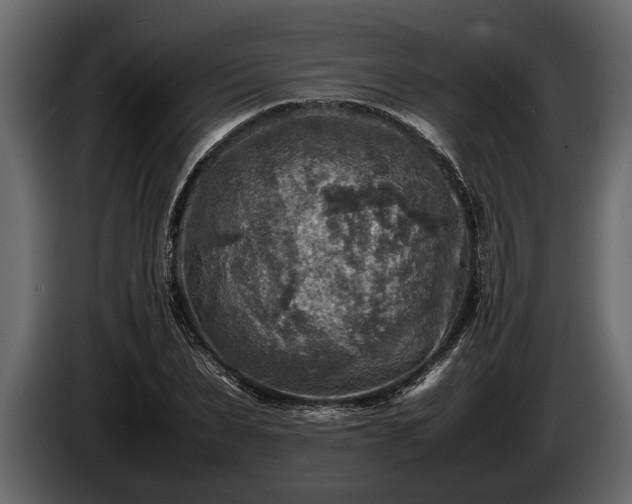 X0000085730879200703231046