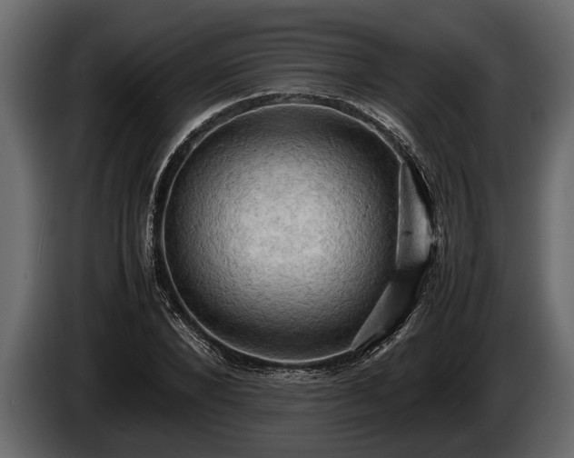 X0000085730880200703231046