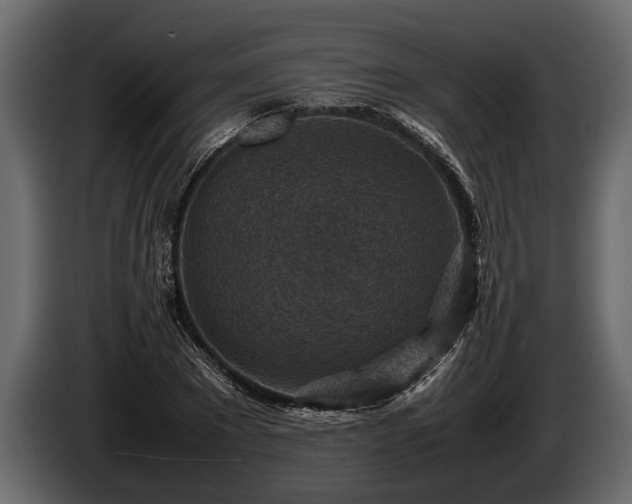 X0000085730881200703231046