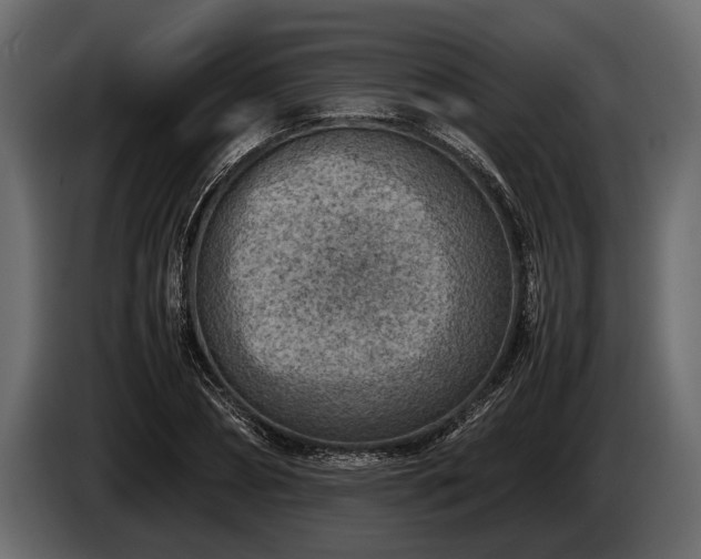 X0000085730882200703231046