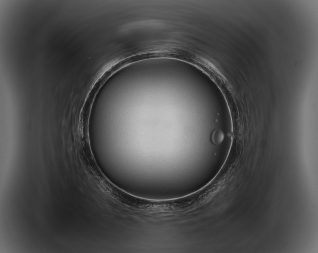 X0000085730883200703231046