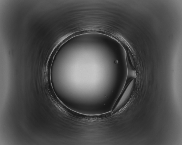 X0000085730884200703231046