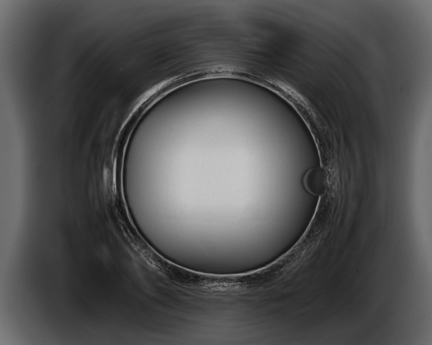 X0000085730886200703231046