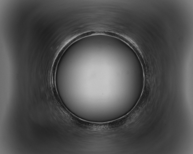 X0000085730887200703231046