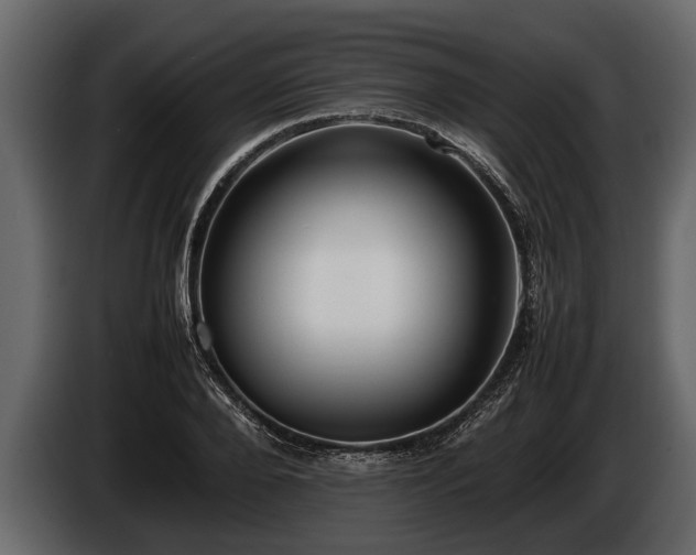 X0000085730888200703231046