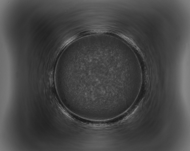 X0000085730889200703231046