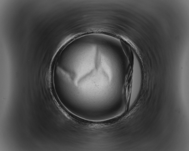 X0000085730894200703231045