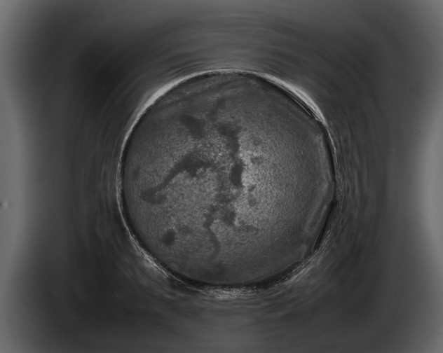 X0000085730895200703231045