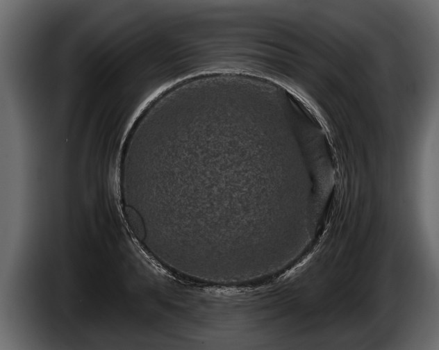 X0000085730896200703231045