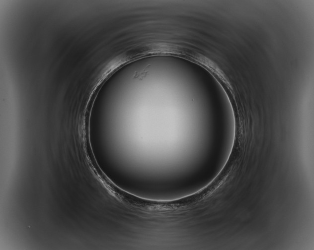 X0000085730898200703231045