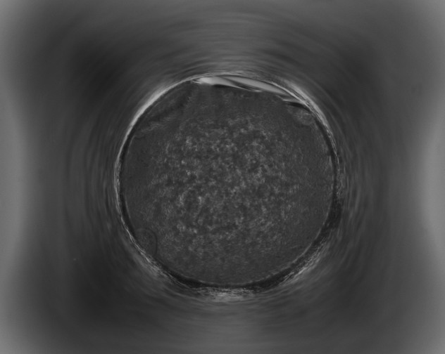 X0000085730899200703231045