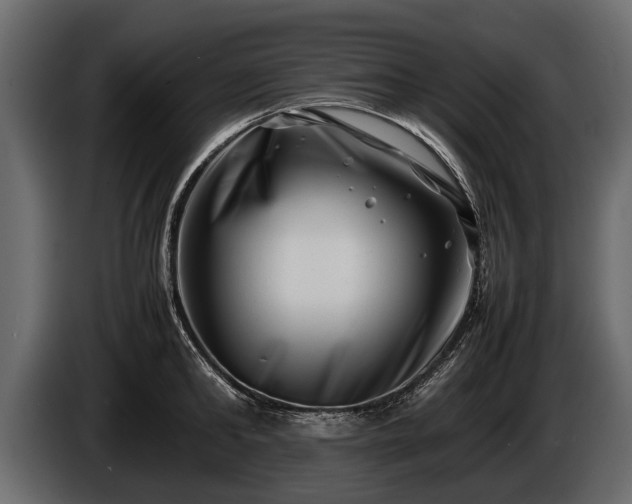 X0000085730902200703231045