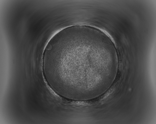 X0000085730903200703231045