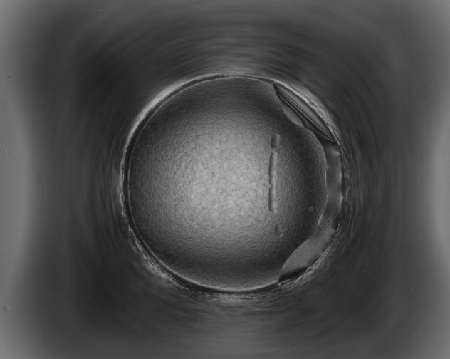 X0000085730904200703231045