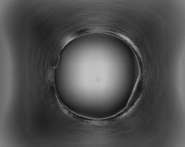 X0000085730905200703231045