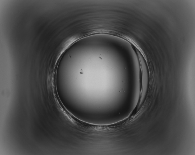 X0000085730906200703231045