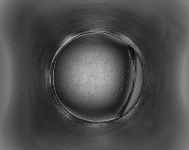 X0000085730908200703231045